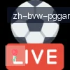 PG电子 logo