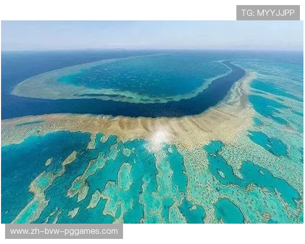 足球珊瑚礁保护项目是否与海岛赛事场馆建设同步推进生态工程