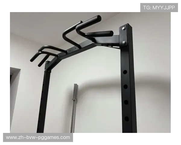 预算与功能平衡：高性价比室内健身器材横向对比